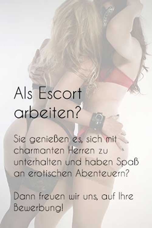 Job als Escort